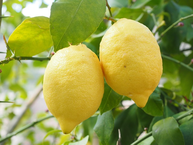 yellow lemons